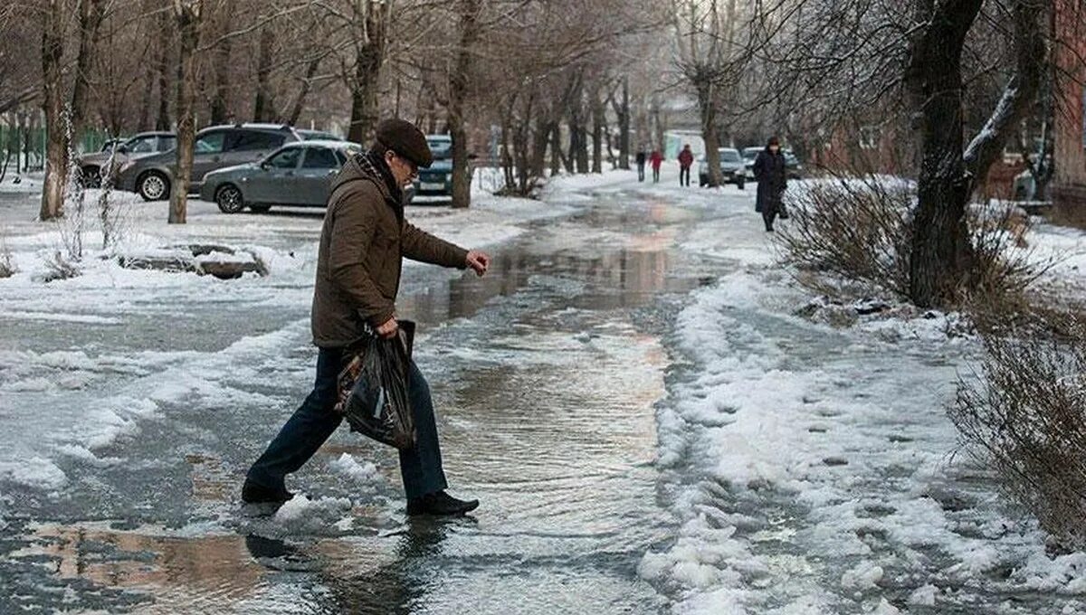 Потепление зимой. Лужи зимой. Дождь и слякоть зимой. Оттепель зимой.