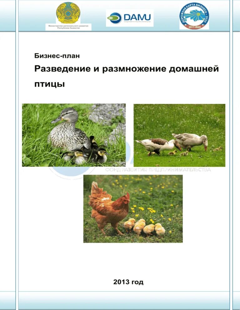 Бизнес план для социального контракта по разведению птицы. Бизнес план по разведению кур бройлеров с финансовыми расчетами. План разведения птиц. Бизнес план разведение птиц. Бизнес план разведение птиц.