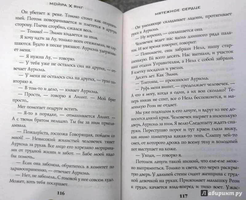 Его черное сердце читать полностью. Мятежное сердце роман. мятежные сердца ellen fallen читать. лабиринт кошмар поэта страницы из книги. мятежное сердце его было выжжено.