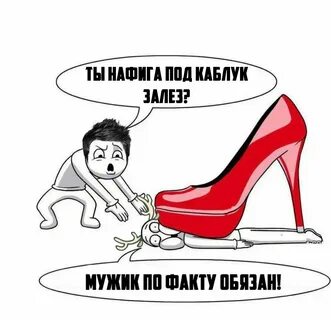 Подкаблучник сеньора 6