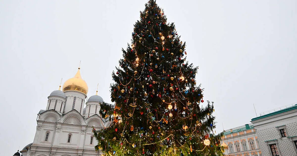 Самая большая елка санкт петербург. Новогодняя елка в москве 2021 в кремле. Елка на соборной площади 2022 в москве. Где стоит главная елка. Главная елка москвы.
