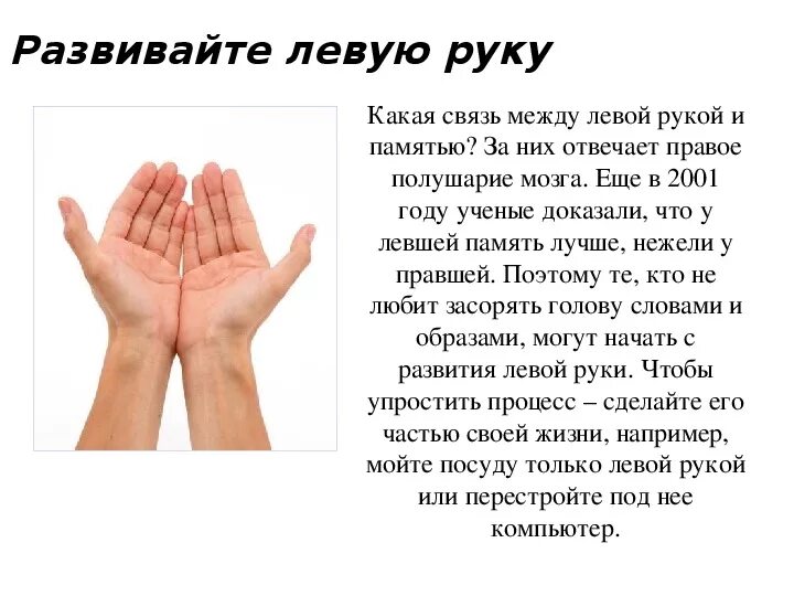 Одинаково владеют правой и левой рукой. Развить левую руку. Правая и левая рука. У левшей какое полушарие развито больше. Какая рука правая и левая.