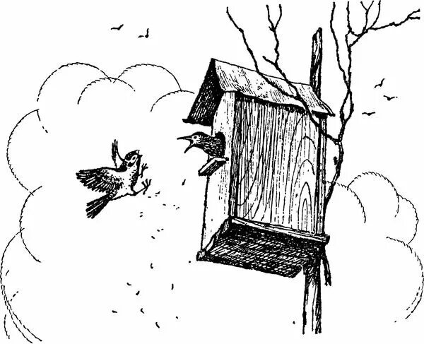 Скворец скворушка скворечник. Скворцы прилетели живопись. Рисунок к произведению скворцы. Эпизод из рассказа скворцы. Рисование скворец в подготовительной группе.
