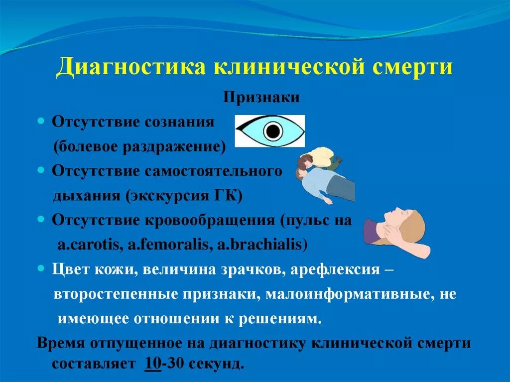 Диагностика клинической смерти основывается на 3 основных критериях. Время диагностики состояния клинической смерти составляет:. Диагностические критерии клинической смерти. Диагностические критерии клинической и биологической смерти.