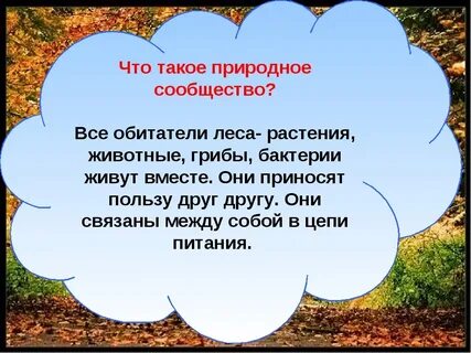 Природные сообщества 3 класс окружающий мир 21 век презентация