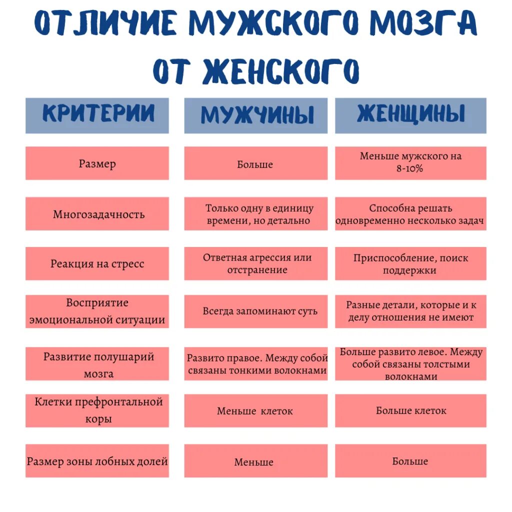 Есть ли отличие между. Мозг мужчины и женщины различия. Отличие мозга мужчин и женщин. Отличия мужского и женского мозга. Различия мужчин и женщин.