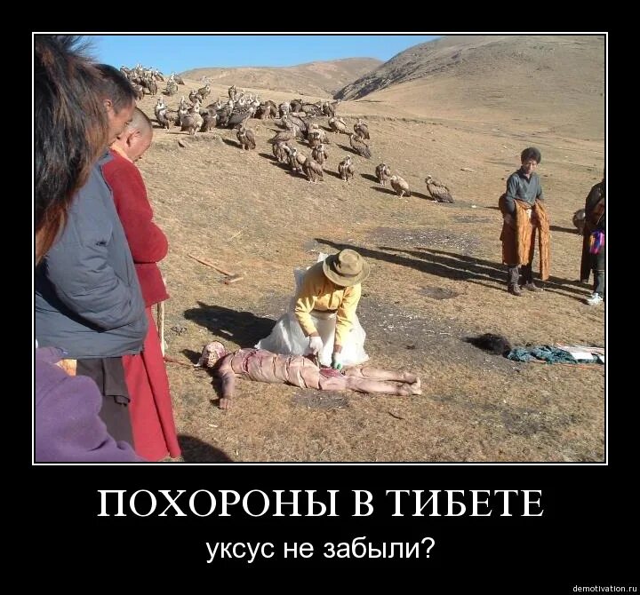 забытые веселое. забытые веселое. я забыл смешные картинки. забытые веселое. открытка вспомни обо мне.