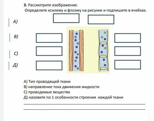 Рассмотрите рисунок и определите направление в