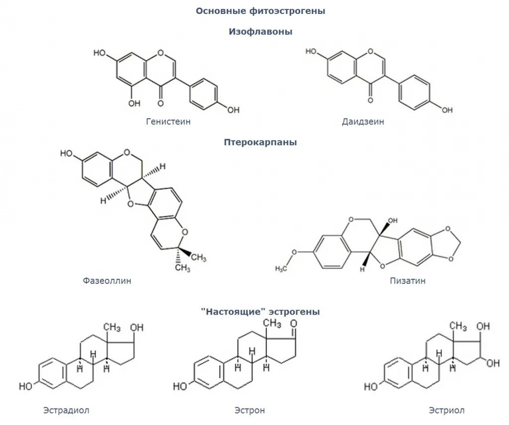 Источник эстрогенов. Гормоны растительного происхождения. Растительные эстрогены. Фитоэстрогены растительного происхождения. Эстрогены в растениях.