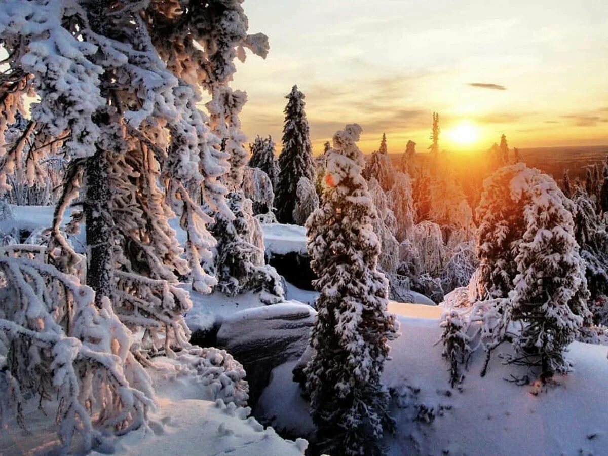 Пермский край зимой. Зимний лес. Зимний пейзаж. Природа Урала зимой. Самые теплые места зимой