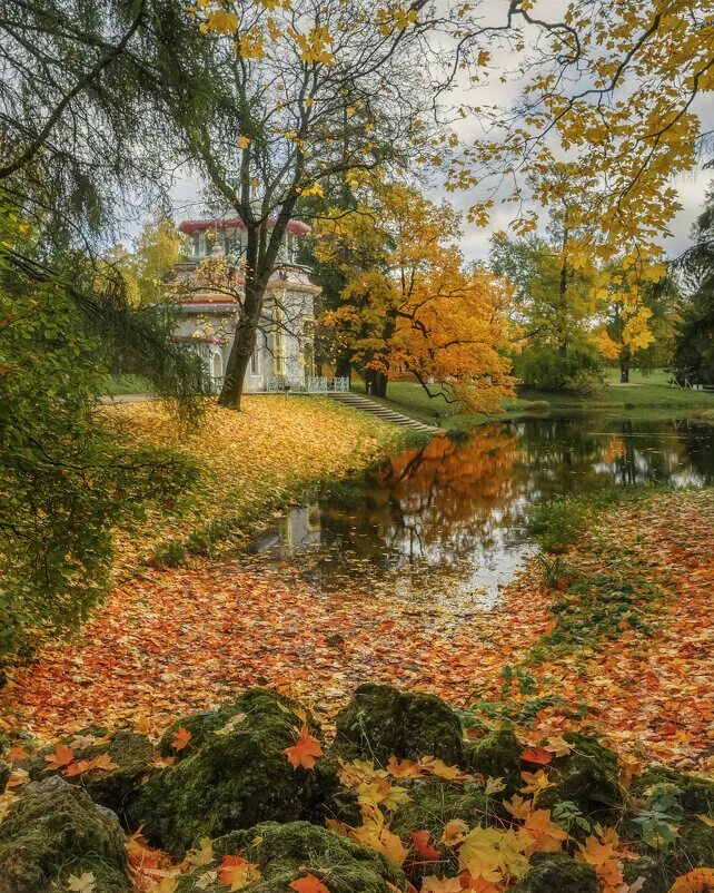 октябрь листопадов. октябрь листопад. осенний листопад. осень фото красивые. фото листопада в октябре.