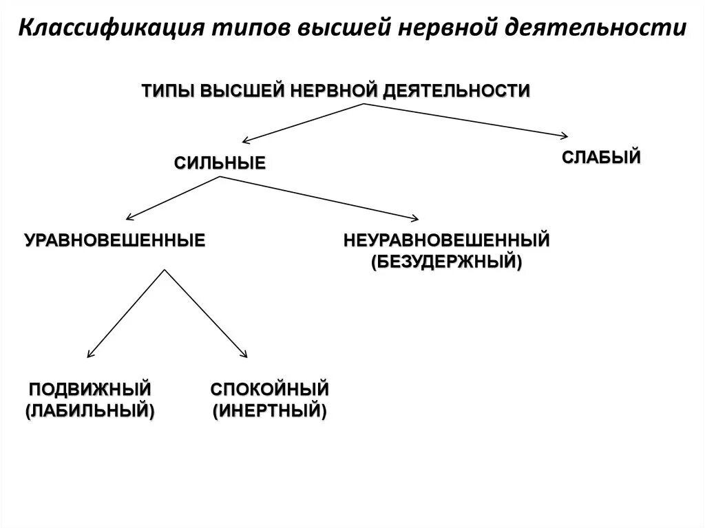 Признаки специфической нервной деятельности. Охарактеризуйте типы высшей нервной деятельности. Типы и характер высшей нервной деятельности анатомия. Классификация и характеристика типов ВНД. Характеристики и классификационные признаки основных типов ВНД.