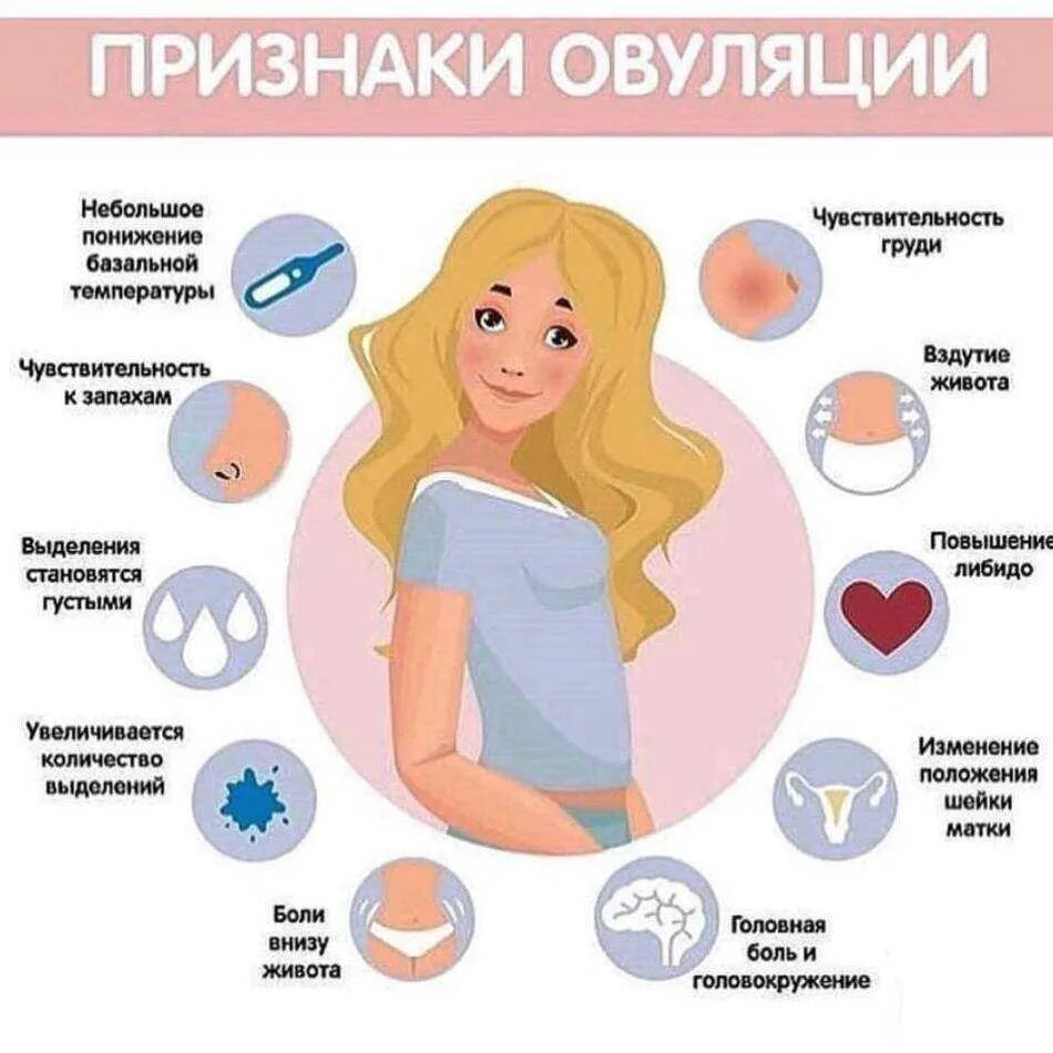 Через сколько у женщин начинаются месячные. Признаки овуляции. признаки беременности. овуляция симптомы признаки. признаки овуляции у женщины.