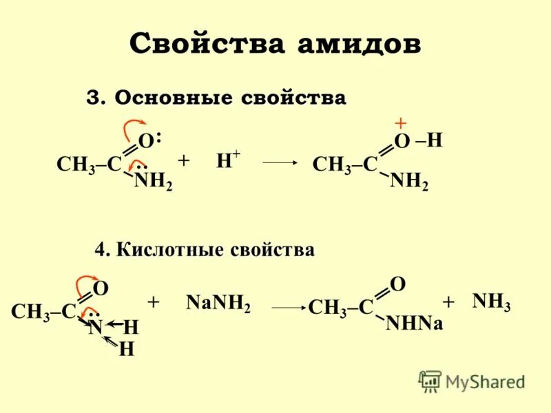 Амиды карбоновых кислот