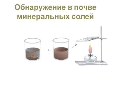 Как доказать что в почве есть соли