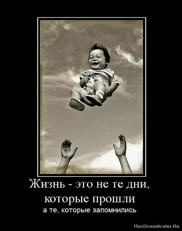 Про смысл жизни с юмором. Прикольные открытки со смыслом. демотиваторы про жизнь. приколы про жизнь. юмор со смыслом.