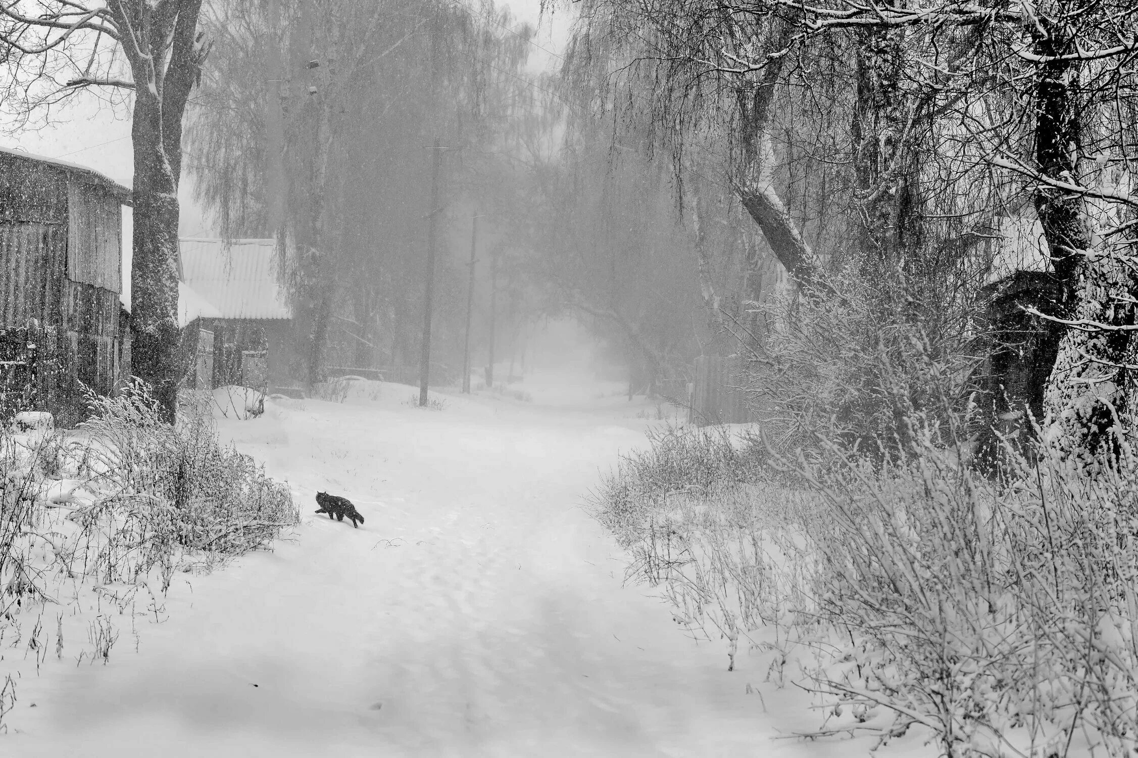 Мети пургу. Вьюга в деревне. Метель в деревне. Снежная буря в деревне. Пурга в деревне.