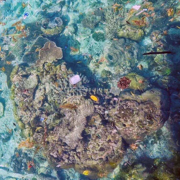 Floating over. Большой Барьерный риф загрязнение. Загрязненное дно океана. Подводный мир кораллы. Большой Барьерный риф вид из космоса.