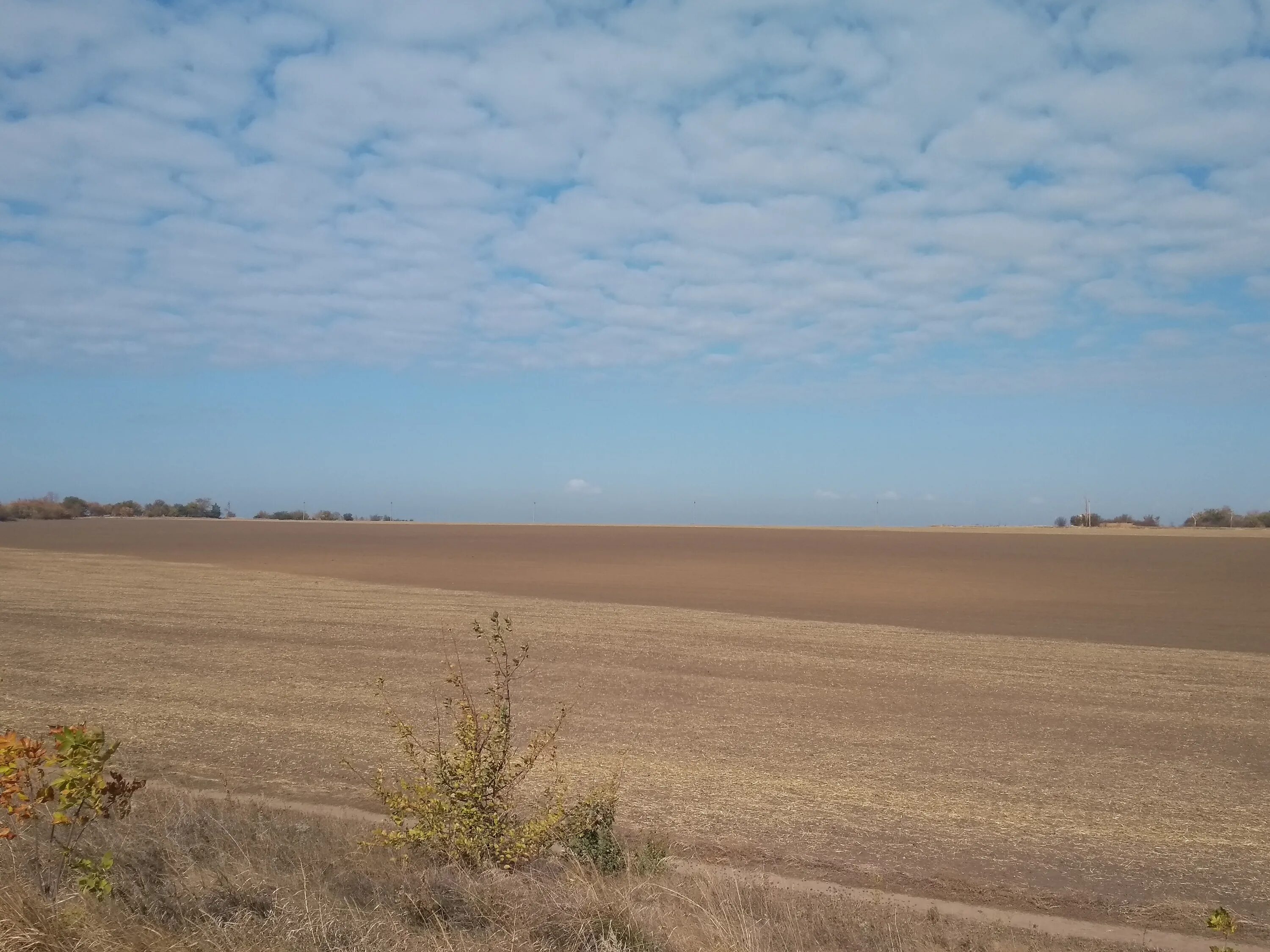 Населенного пункта азовское