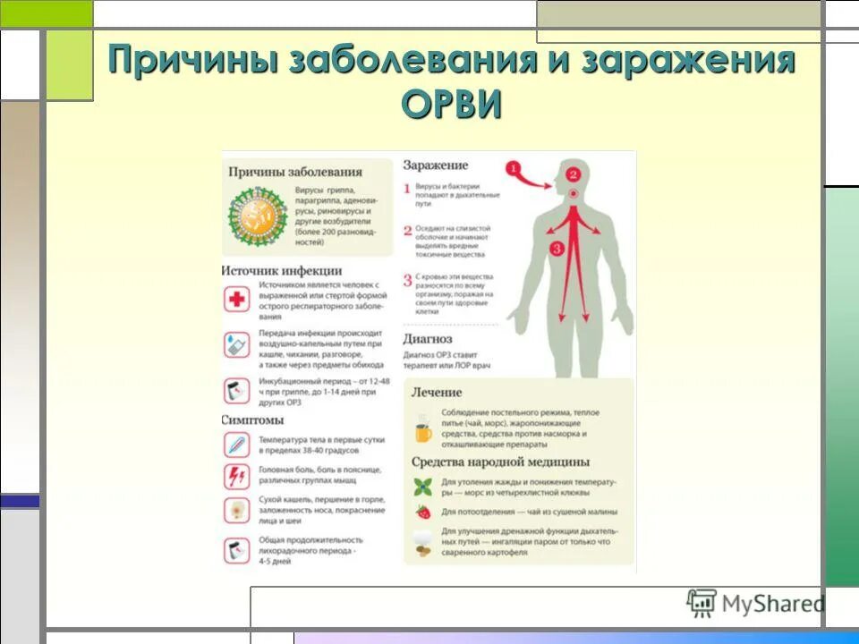 Как не заразиться орви