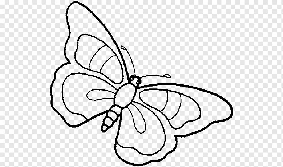 Раскраска "бабочки". Бабочка раскраска для детей. Бабочка рисунок для детей. Рисунок бабочки для раскрашивания.