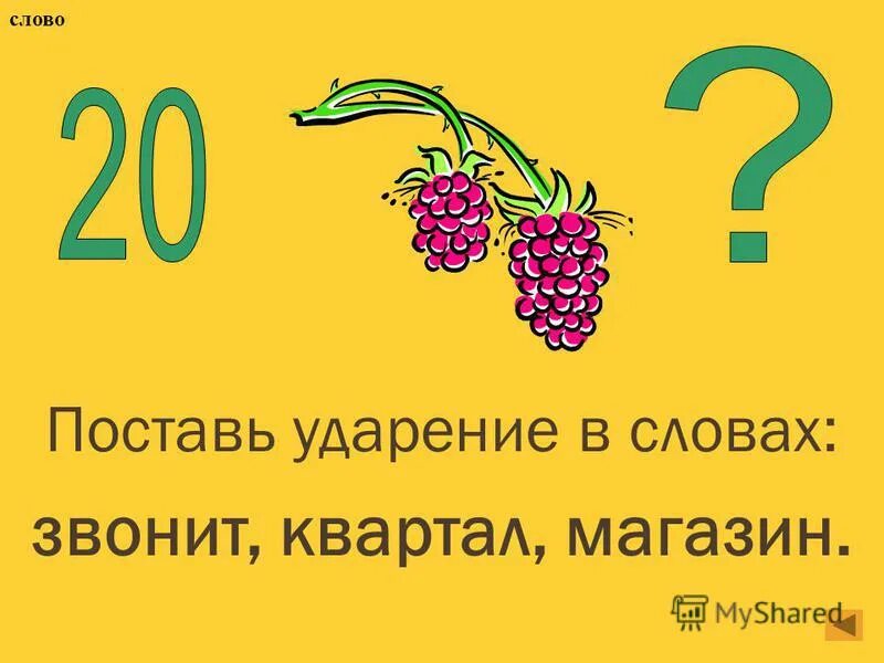 5 слов магазин