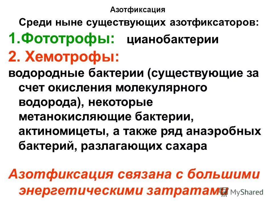 азотфиксацию осуществляют. азотфиксацию осуществляют. фиксация атмосферного азота. азотфиксация. процесс азотфиксации схема.