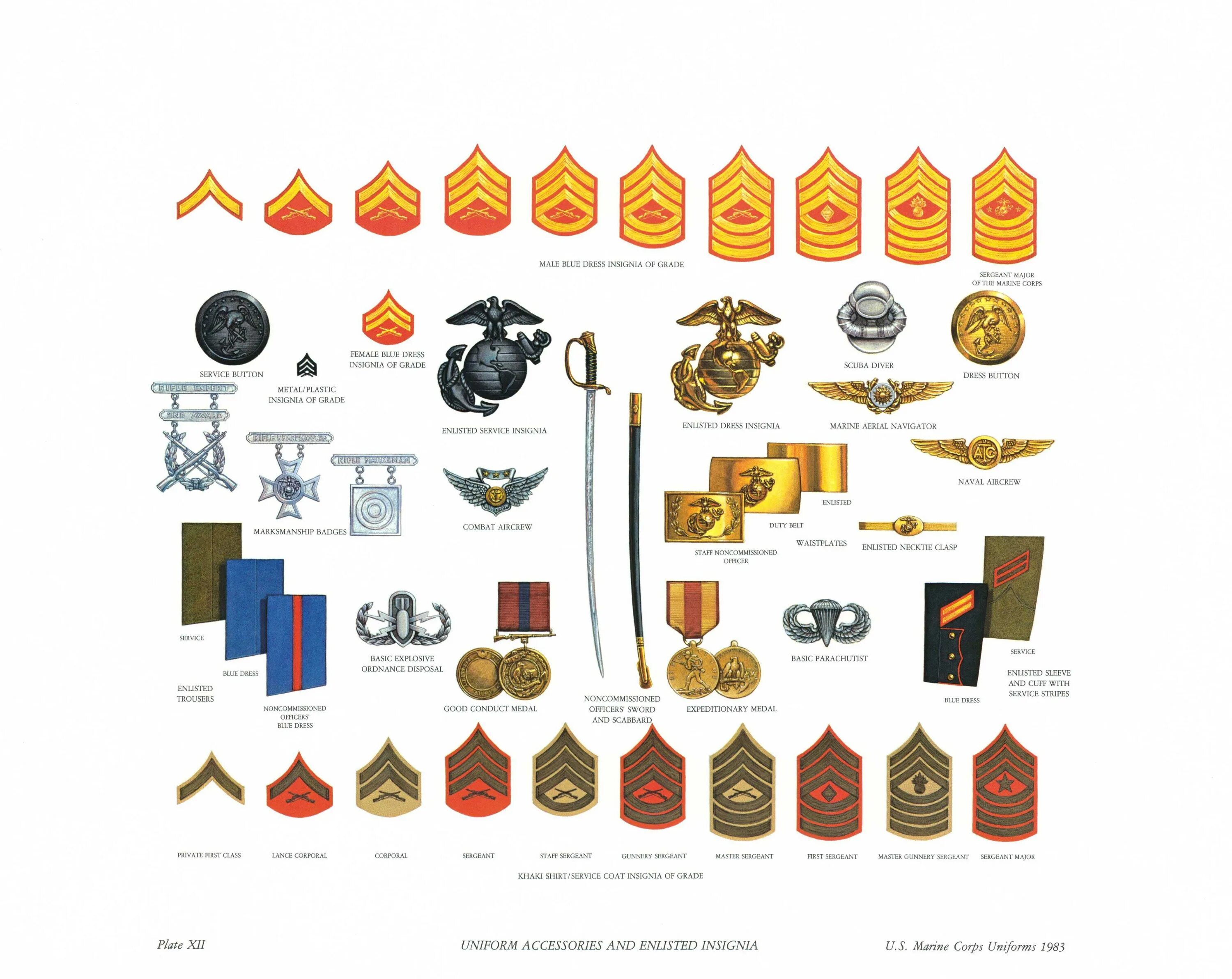 Казачья форма одежды. Форма всу 1995. Знаки униформа. Рабочая одежда иконка. Звания немецких офицеров во второй мировой.