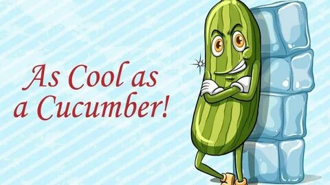 As cool as a