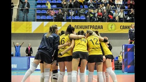 Динамо ленинградка волейбол прогноз