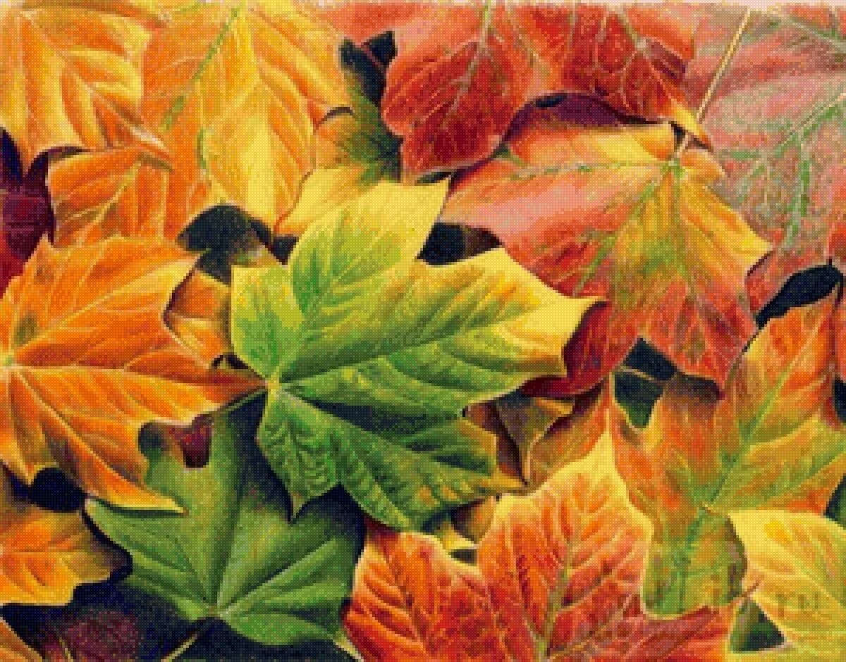 Осенние листья акварель. Зарисовки листьев. Лист цветными карандашами. Лист цветными карандашами. Рисование осенние листья.