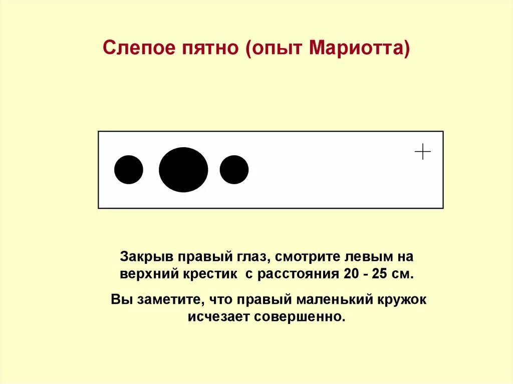 Обнаружение слепого пятна практическая работа 8. Опыт Мариотта слепое пятно. Обнаружение слепого пятна опыт Мариотта. Слепое пятно (опыт Мариотта) цель. Обнаружен е слепого пятна.