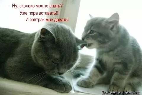 Музыка ну сколько можно