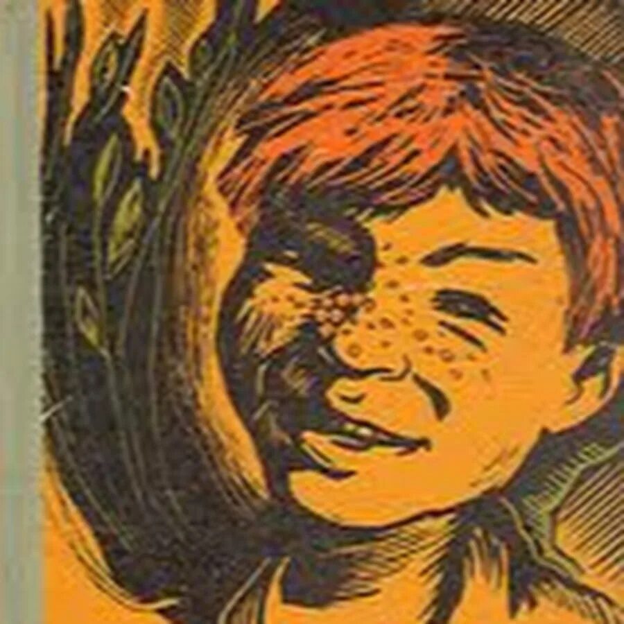 Свирский рыжик читать краткое содержание. Свирский а.и. &quot;рыжик&quot;. повесть рыжик.