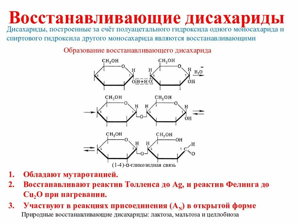 Проявить восстановление. Классификация дисахаридов восстанавливающие и невосстанавливающие. Восстанавливающие дисахариды лактоза. Восстанавливающие дисахариды мальтоза лактоза целлобиоза. Восстанавливающих дисахаридов.