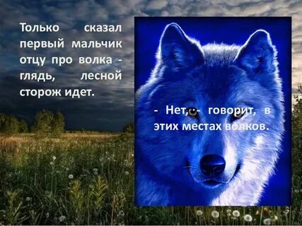 Вопрос про волка