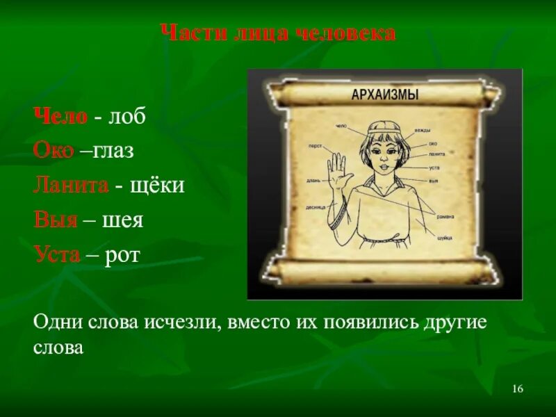 Устаревшие слова. Устаревшие слова в русском языке. Архаизмы архаизмы части тела. Интересные устаревшие слова.