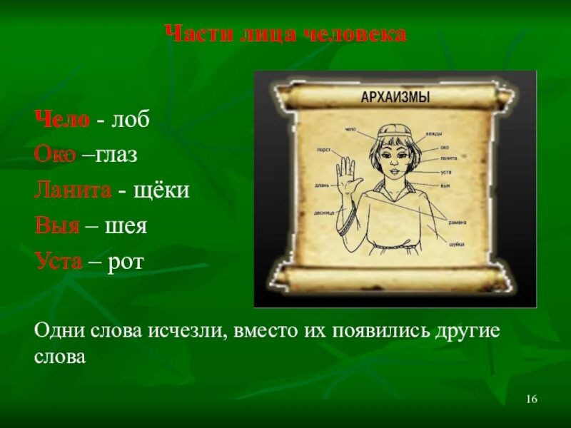 Устаревшие слова задание. Устаревшие слова. Устаревшие слова в русском языке. Архаизмы архаизмы части тела. Интересные устаревшие слова.