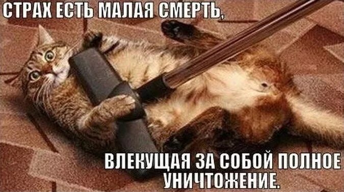 Боюсь быть убитым