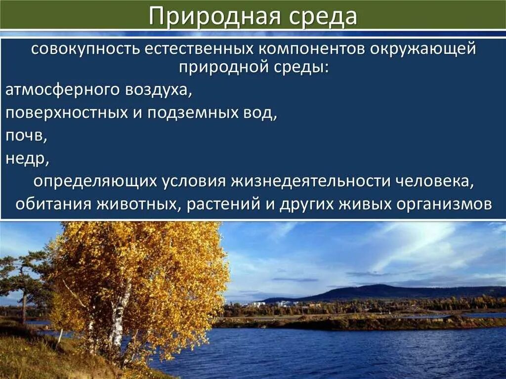 Природная среда. Природная среда обитания. Окружающая среда и природная среда. Элементы природной среды. Как называют компоненты окружающей среды влияющие