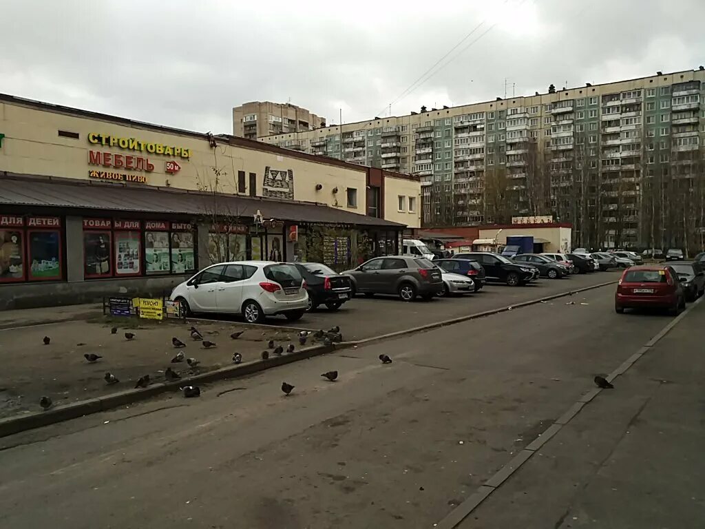 проспект художников спб. 4 лапы санкт-петербург. тц сосновский художников 11. проспект художников 11 в санкт-петербурге. проспект художников 11 спб.