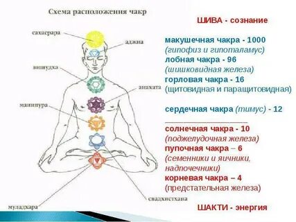 Чакра определение