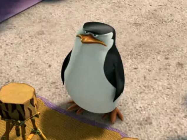 пингвины мадагаскара. пингвины из мадагаскара мультсериал 2008–2015. шкипер пингвин гуль. пингвины мадагаскара 2. пингвины из мадагаскара рико.