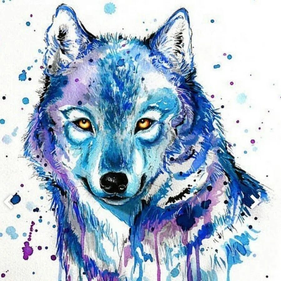 Цветные картинки волка. Животные арт рисунки. Волк рисунок цветной. Волк нарисованный цветной. Рисунки Волков цветные.