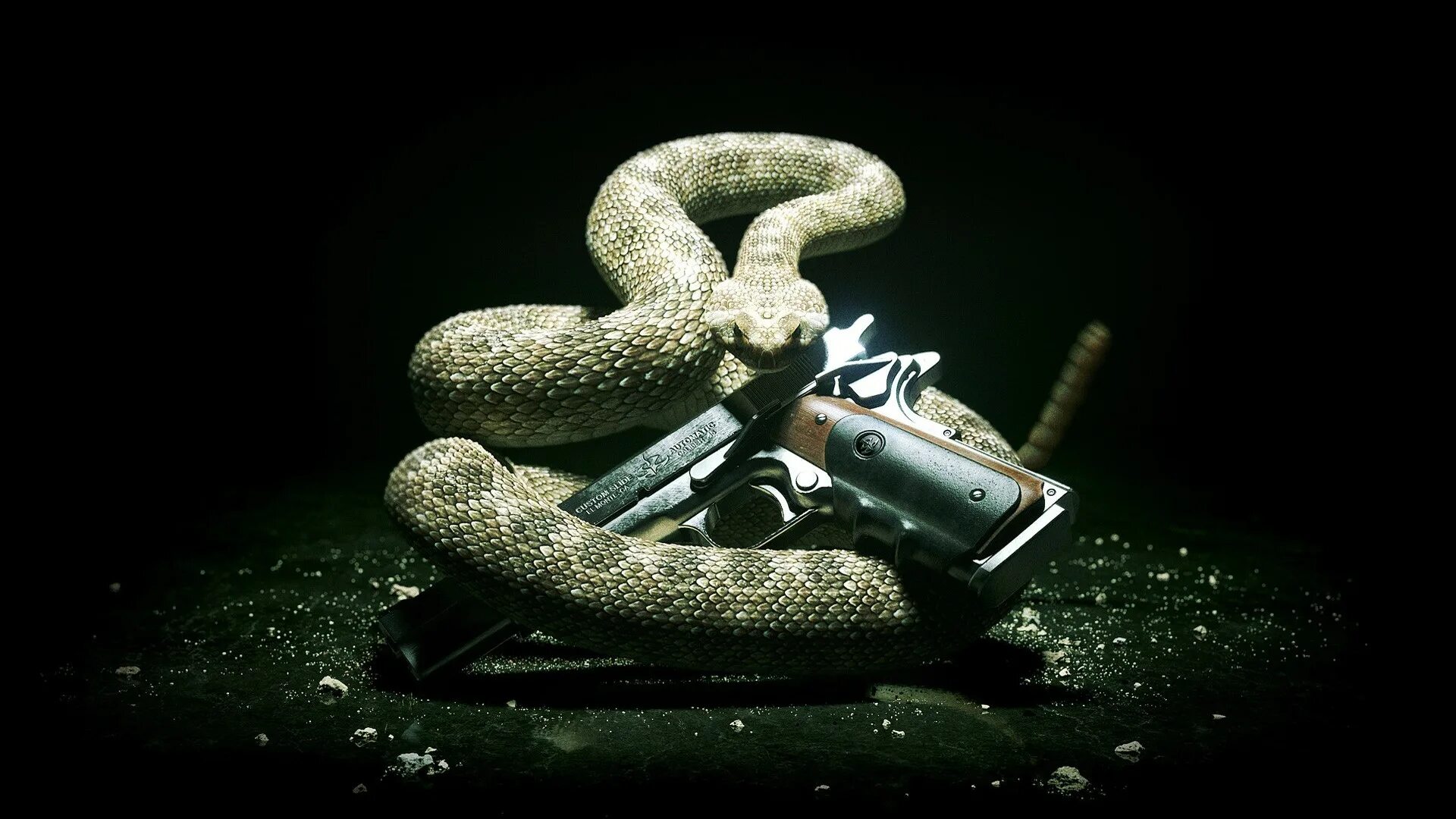 Snake x. Хитмэн абсолюшен змея. Змея из хитман абсолюшен. Hitman: Absolution пистолет. Хитман абсолютион змея.