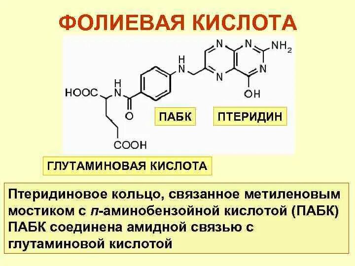 ПАБК парааминобензойная кислота. Составные части молекулы фолиевой кислоты. Парааминобензойная кислота формула. Парааминобензойной кислоты (ПАБК).