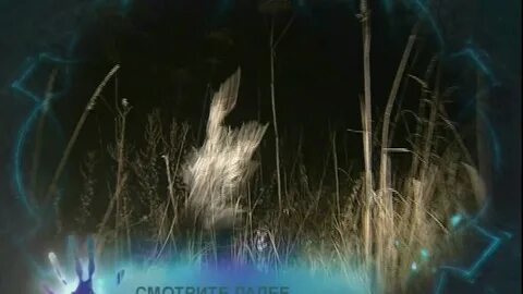 Страшные расследования экстрасенсов
