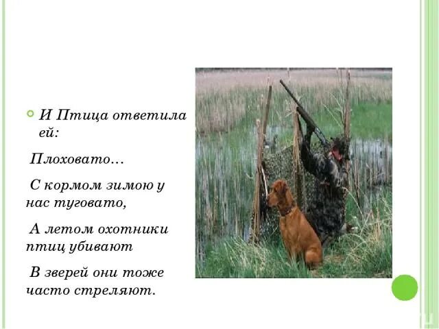 Стояли звери у запертой двери. Стояли звери около двери. Стояли звери около двери в них стреляли. В зверей стреляли они. В зверей стреляли они.