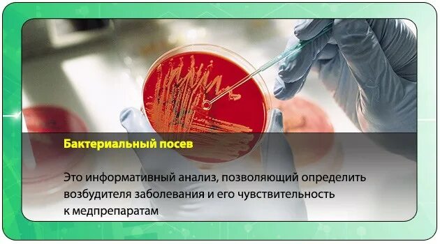 Методы исследования сальмонеллеза. Бак посев на сальмонеллез. Бак исследование на сальмонеллез. Анализ на сальмонеллез. Посев на сальмонеллез