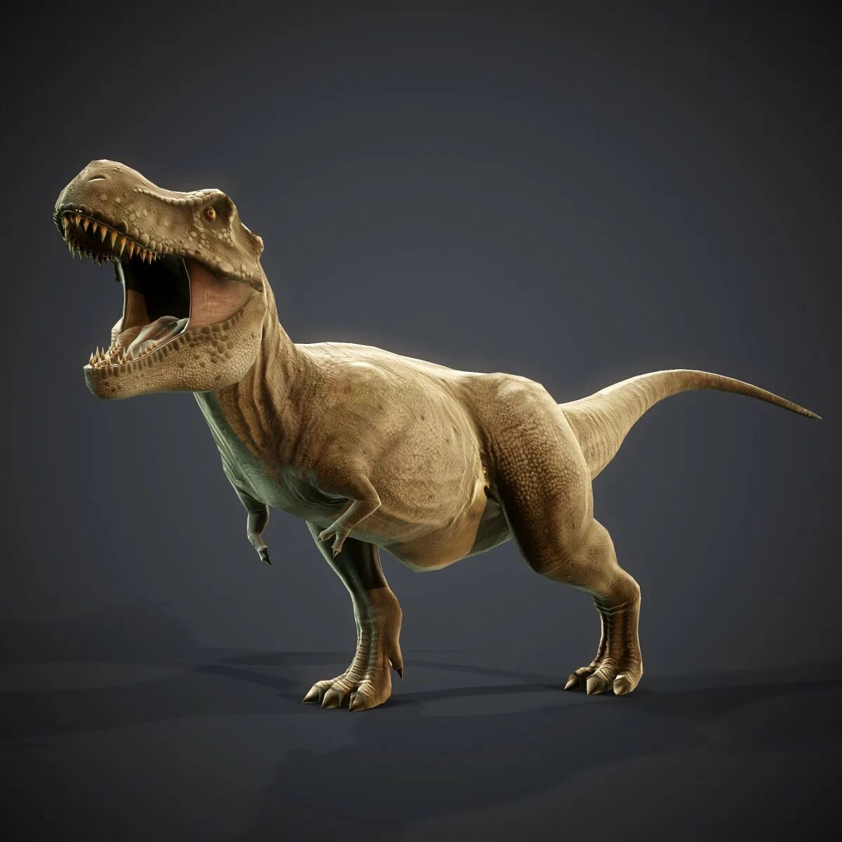 Тираннозавр картинки. Реранозавор РККС. Тиланнозавр Лекс. Тираннозавр рекс. Тиранозавр рекс Тиранозавр рекс.